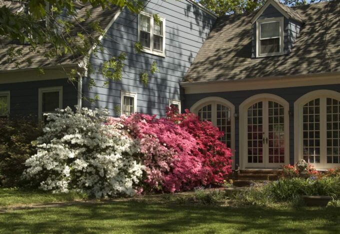 April Rate Watch Report