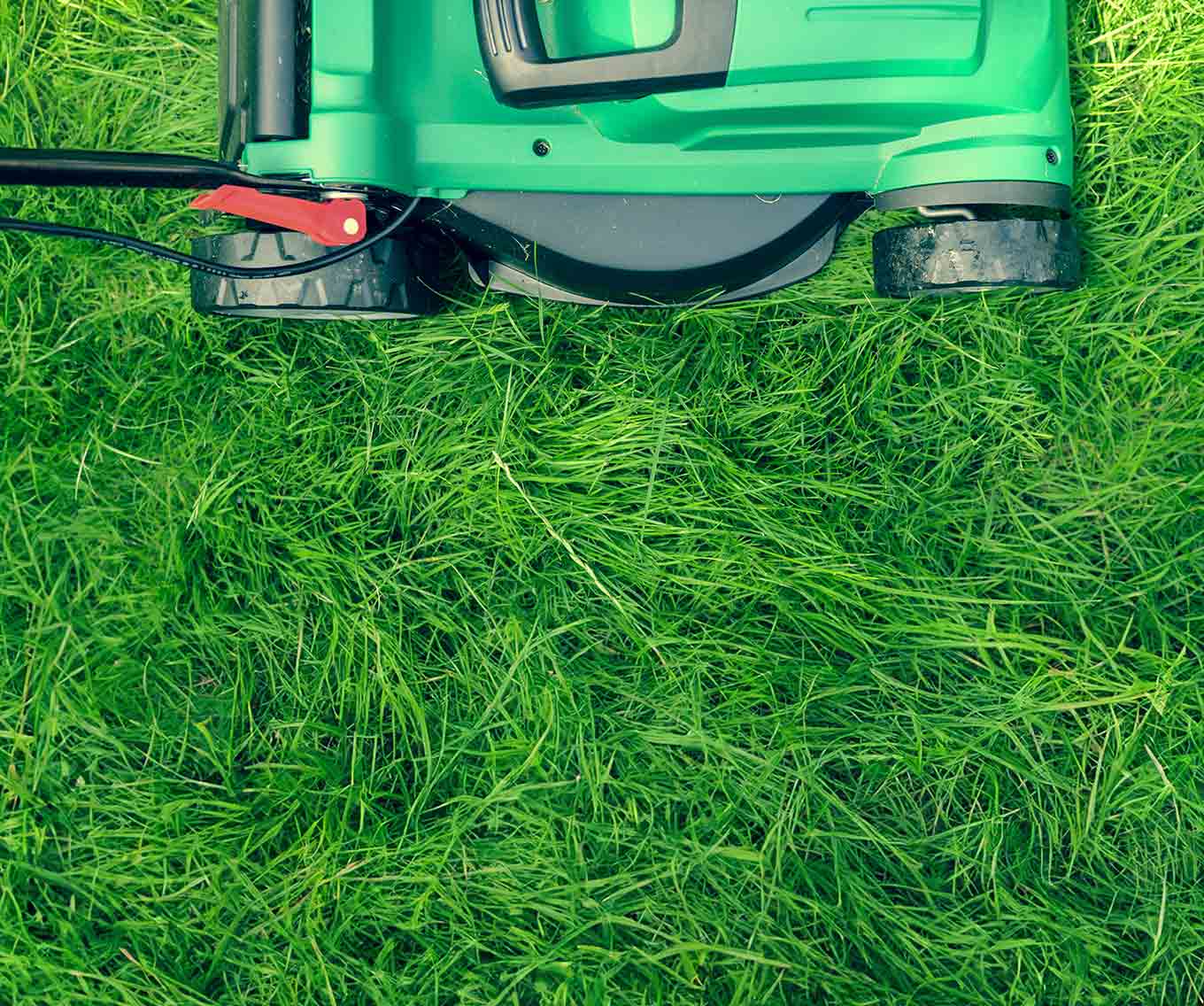 Lawn mower cutting grass following a homeowners annual lawn care schedule.